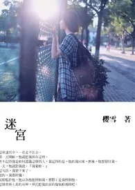 《迷宫》(终)1970全章节阅读 《迷宫》(终)小说免费阅读