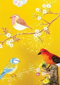 雀恋作者:queen 全本免费阅读