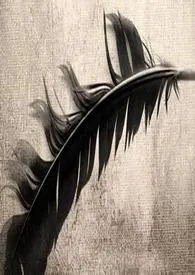老牛吃嫩草(中篇小说)小说完结版免费阅读(作者:香辣豌豆)