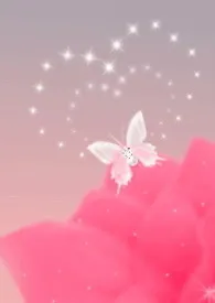 傻子小丈夫小说完结版免费阅读(作者:queen)
