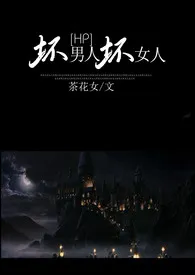 HP坏男人坏女人(H)小说完结版免费阅读(作者:茶花女)