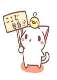 睿作者:acome 全本免费阅读