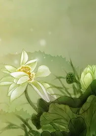 结亲1970全章节阅读 结亲小说免费阅读