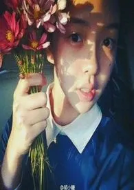 红灯区的女人们作者:液的太浅 全本免费阅读