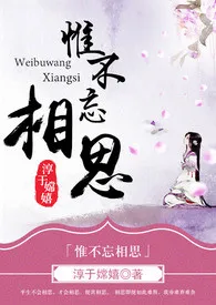 《惟不忘相思(繁体)》小说在线阅读 淳于嫦嬉作品