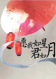 《愿我如星君如月》1970版小说全集 十三茶完本作品