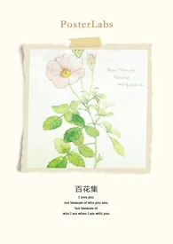 《百花集(简)》小说大结局 小乖怪最新力作
