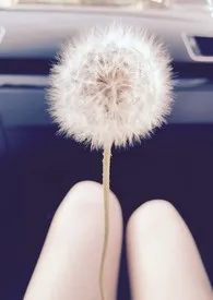 《快穿之花式体验男朋友(繁体)》小说大结局 小畜生啾啾最新力作