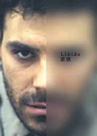 Libido 原欲作者:飞机能飞 全本免费阅读