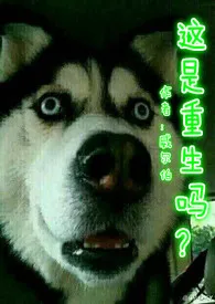 《【NP】这是重生吗?》1970最新章节 【NP】这是重生吗?免费阅读