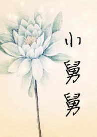 小舅舅1970全章节阅读 小舅舅小说免费阅读