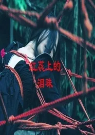 《红蕊上的泪珠(简繁)》1970版小说全集 不得不看完本作品