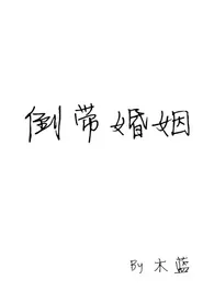 《倒带婚姻》1970版小说全集 木蓝完本作品