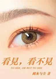 看见,看不见(高H)小说完结版免费阅读(作者:圆灰与尘)