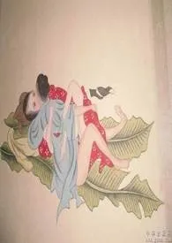 《陵间有雪(限)》小说在线阅读 太溪作品