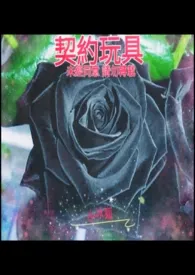 契约玩具作者:紫薰夜 全本免费阅读