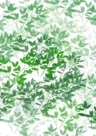 妖姬小说完结版免费阅读(作者:叟无欺)
