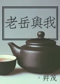 老岳与我作者:并茂 全本免费阅读