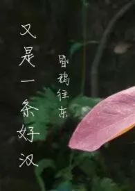 又是一条好汉(H)最新章节目录 又是一条好汉(H)全本在线阅读