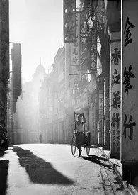 1970全新版本《两栖》 路易波士茶作品完结免费阅读