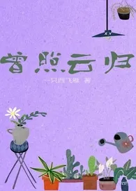 曾照云归1970全章节阅读 曾照云归小说免费阅读