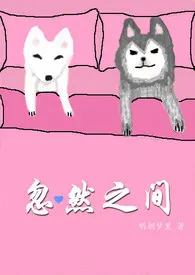 1970全新版本《忽然之间》 明朝梦里作品完结免费阅读