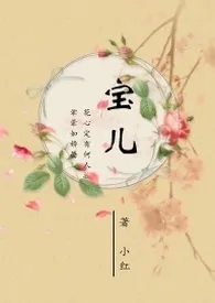 《宝儿》2024版小说全集 小红完本作品