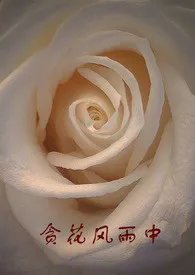 《贪花风雨中》1970最新章节 贪花风雨中免费阅读