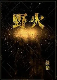 野火作者:蜡蜡 全本免费阅读