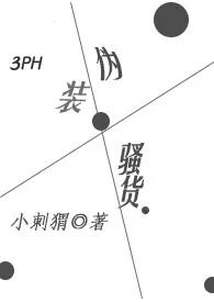 伪装骚货(3PH)作者:媮生 全本免费阅读