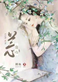 兰心1970全章节阅读 兰心小说免费阅读