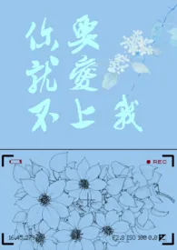 你就不要爱上我1970全章节阅读 你就不要爱上我小说免费阅读