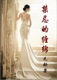 《禁忌的缠绵》1970版小说全集 无缺完本作品