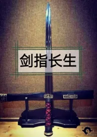 剑指长生1970全章节阅读 剑指长生小说免费阅读