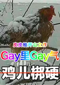 gay里gay气小说完结版免费阅读(作者:皮皮柚)