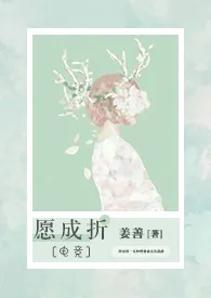 愿成折(电竞H)作者:姜善 全本免费阅读