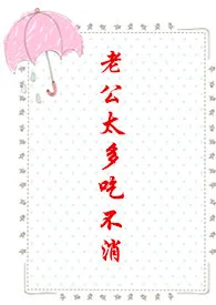 《老公太多吃不消(nph)》小说在线阅读 风琉璃的夏天作品