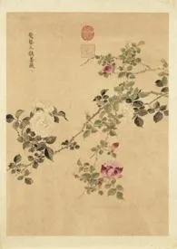 《野有蔓草(繁体版)》1970版小说全集 丁山珂(原笔名:肉形石)完本作品