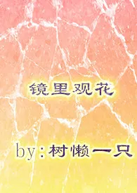 1970全新版本《镜里观花(H,1V1虐恋)》 我拖拖拖作品完结免费阅读