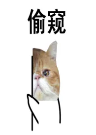 《偷窥狂》1970版小说全集 迦梨完本作品