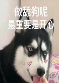 1970全新版本《你当我是智障吧》 啊朋友再见作品完结免费阅读