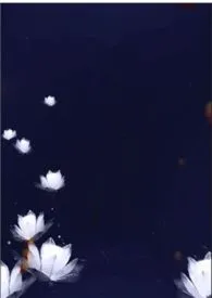 《春夜喜雨》NPH小说完结版免费阅读(作者:一楼台)
