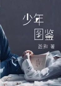 1970全新版本《少年图鉴》 近别作品完结免费阅读