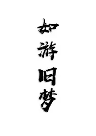 《如游旧梦》1970版小说全集 海水江崖完本作品