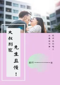大叔别宠!先生且慢!作者:盈玥 全本免费阅读