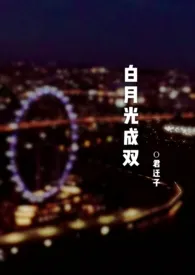 白月光成双1970全章节阅读 白月光成双小说免费阅读