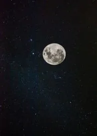 残月小说完结版免费阅读(作者:玫瑰丸子)