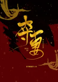 1970全新版本《夺妻(论如何肏到别人的新娘)》 老司姬流苏作品完结免费阅读