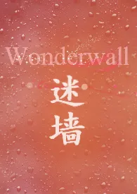 迷墙Wonderwall作者:鱼眼 全本免费阅读