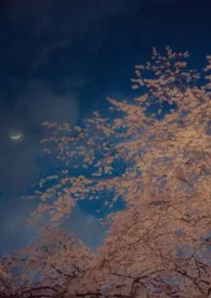 归山 (NP)最新章节目录 归山 (NP)全本在线阅读